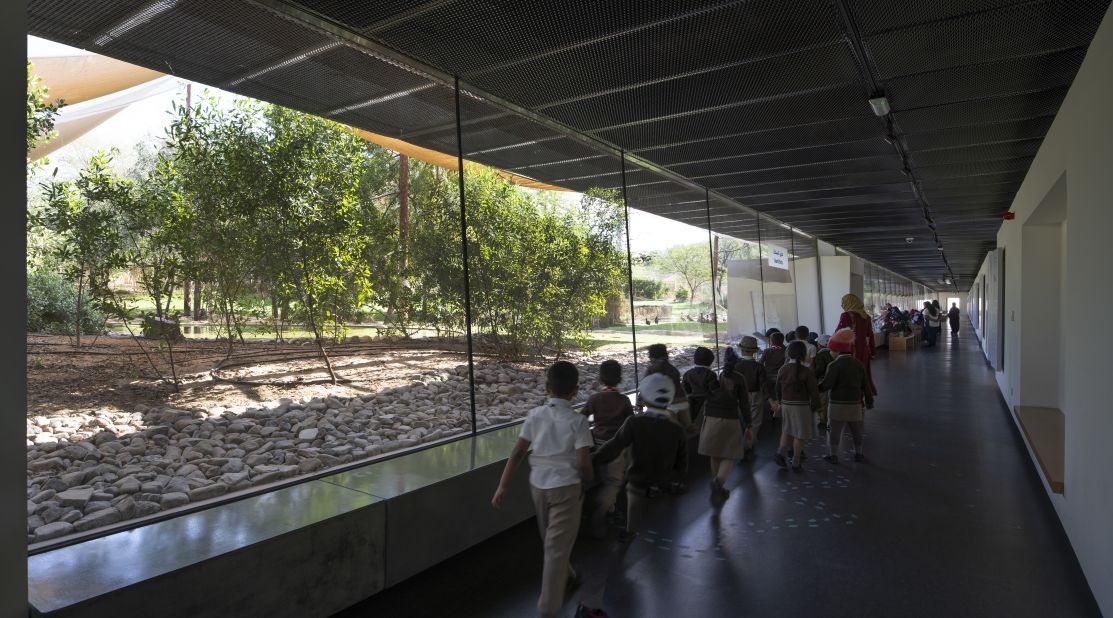Upon arrival, visitors are led underground along a pathway into a linear gallery with a transparent wall that allows them to view the birds of the wetland in their natural habitat.