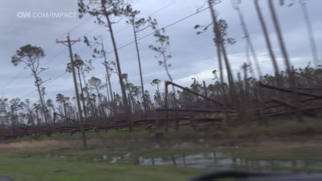 IYW time for trees_00011822.jpg
