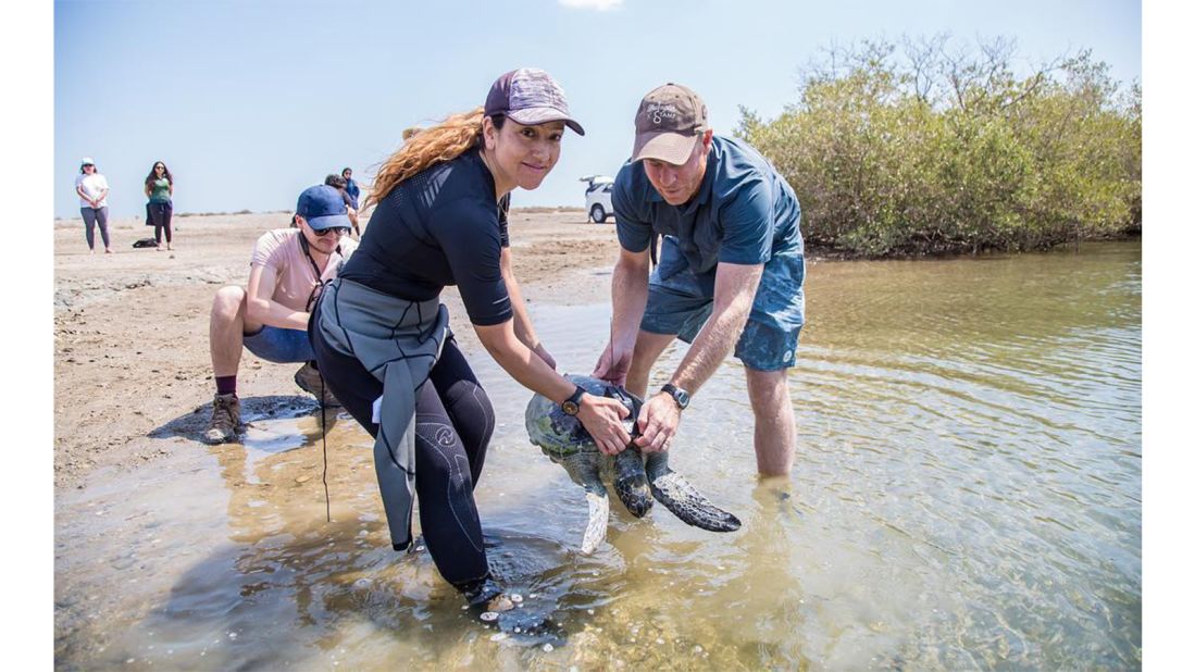 The Khor Kalba nature reserve in Sharjah, UAE, where local authorities are working with Emirates Nature and the WWF in a strategic research collaboration to better understand juvenile green turtle and the ecology they live in.