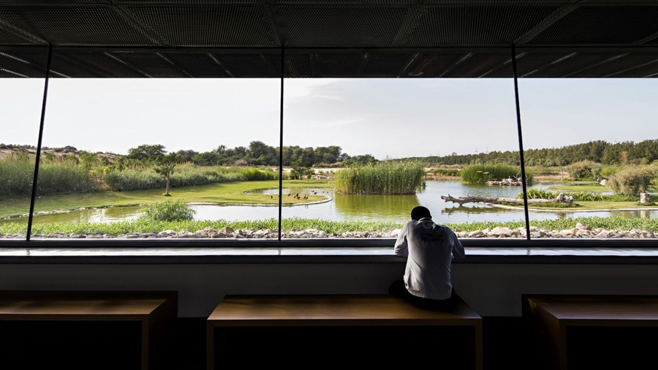 The site has became a magnet for bird watchers and researchers. A fully transparent wall allows the visitors to experience the birds' natural environment and become part of it.
