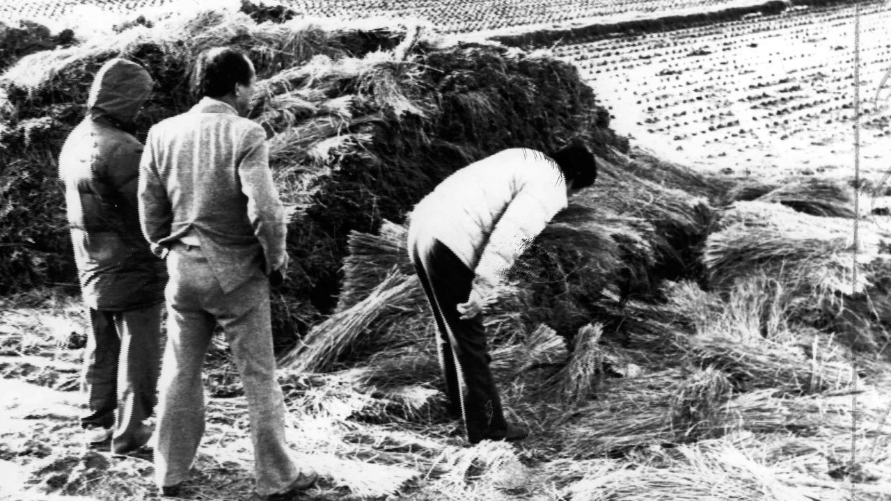 Investigators in July 1987 examine the scene in Hwaseong, south of Seoul, where a woman was raped and brutally killed.