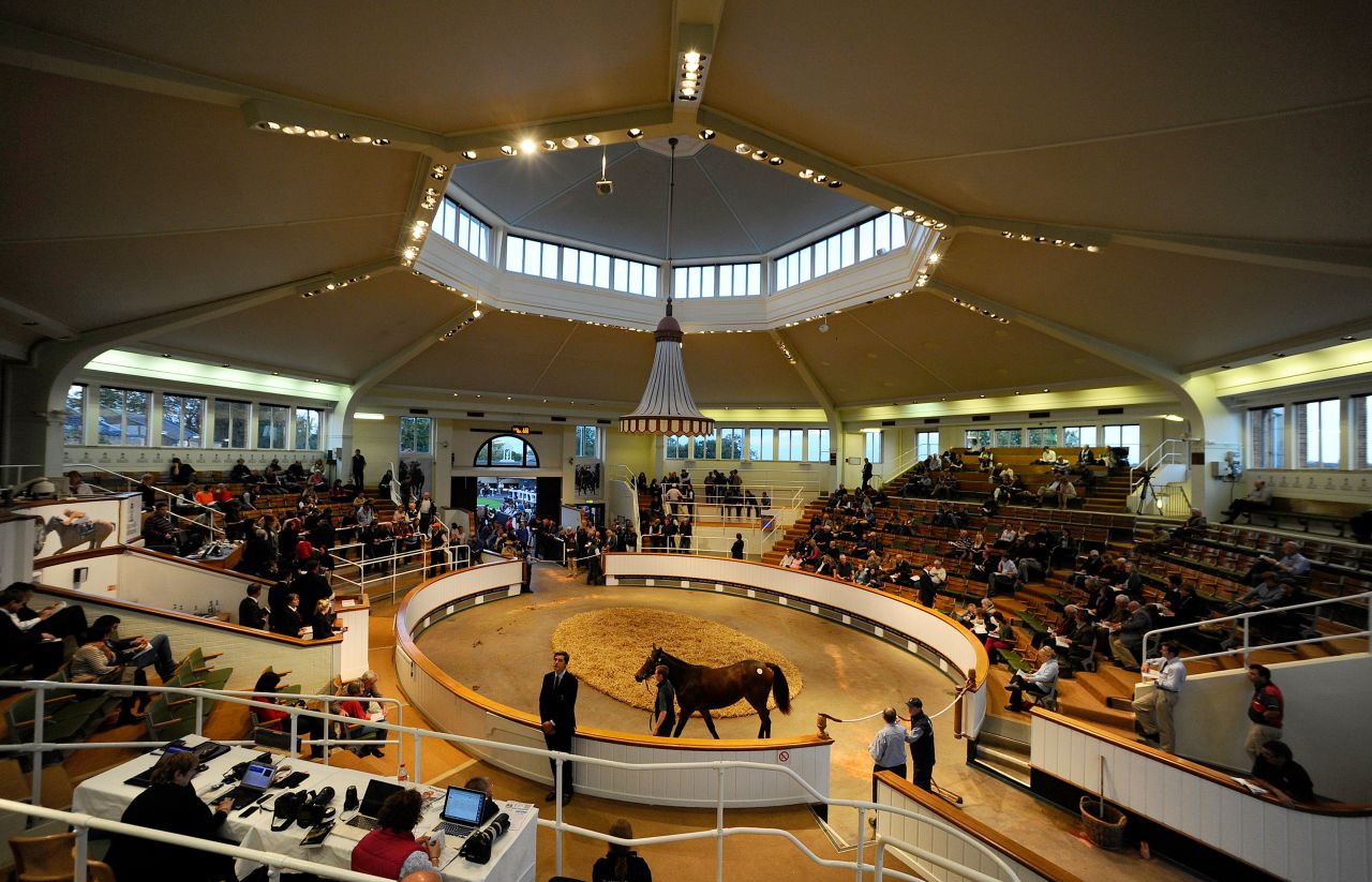 Horses on display at the auctioneer Tattersalls.