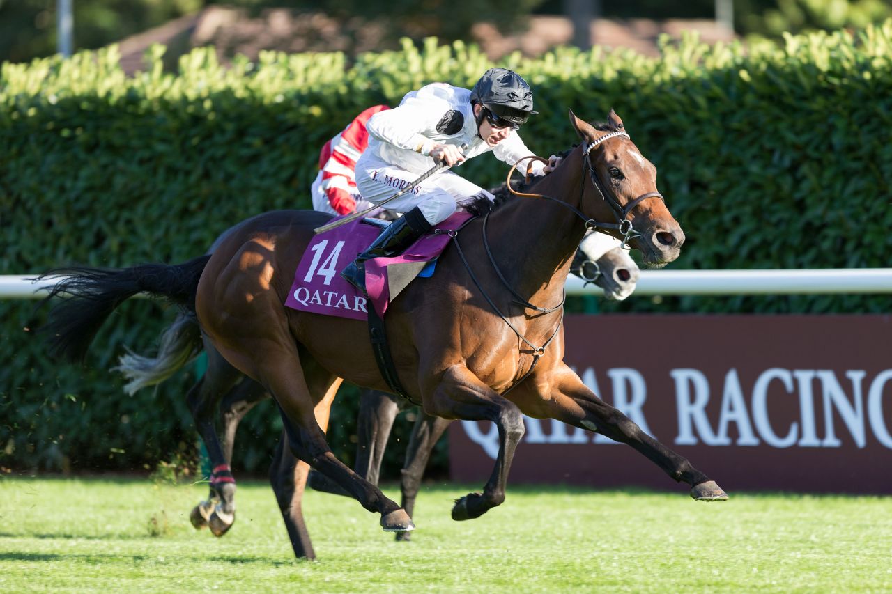 Jockey Luke Morris riding Marsha to victory in the Prix de l'Arc de Triomphe in 2016