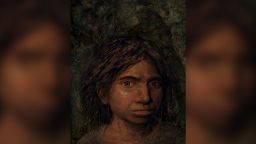 This image shows a portrait of a juvenile female Denisovan based on a skeletal profile reconstructed from ancient DNA methylation maps. CREDIT Maayan Harel