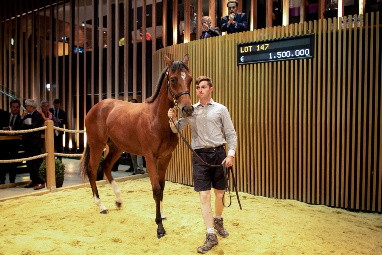 A yearling colt sired by Galileo sold for €1.5 million ($1.66 million) at auction in August 2019.