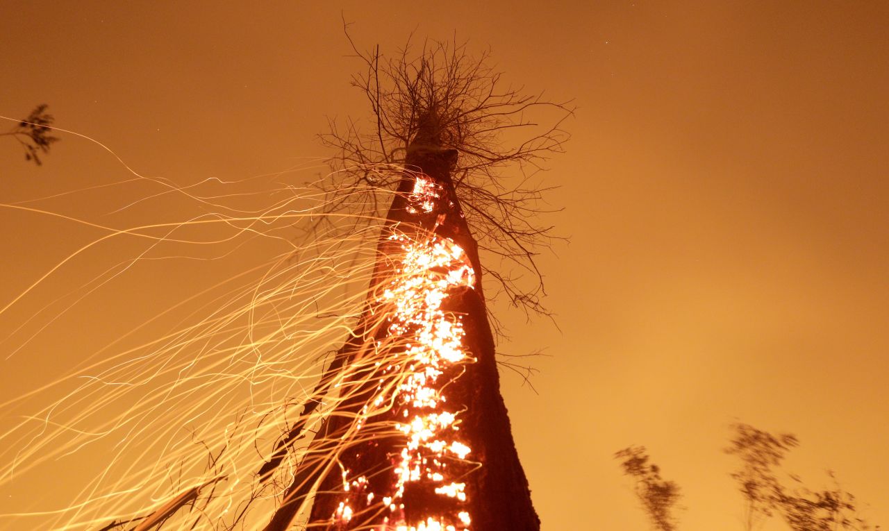 A tract of the Amazon jungle burns as it is cleared by farmers in Rio Pardo, Rondonia, Brazil on Sunday, September 15.
