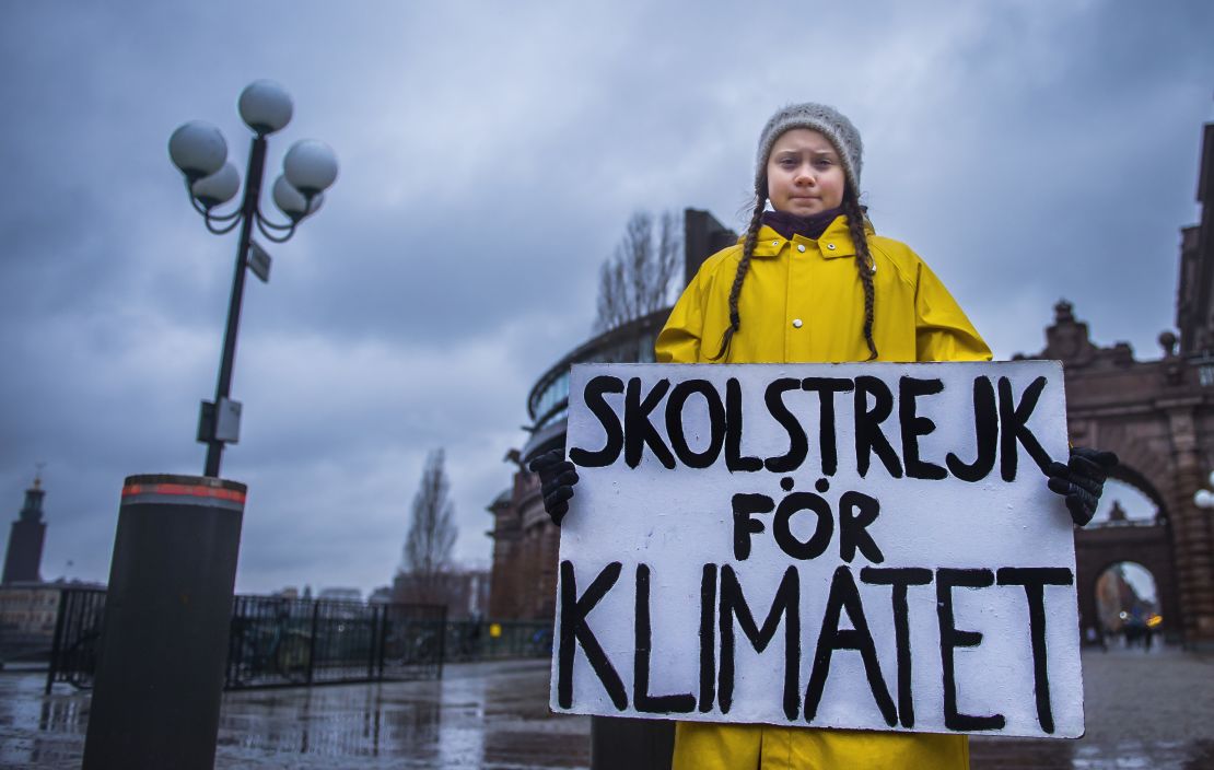 Greta Thunberg, then 15, holds a placard reading "School strike for the climate" during a protest against climate change outside the Swedish parliament last November.