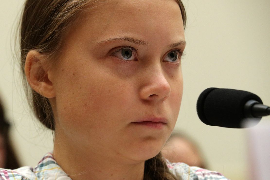 Greta Thunberg testifies during a joint hearing in the House of Representatives this week.