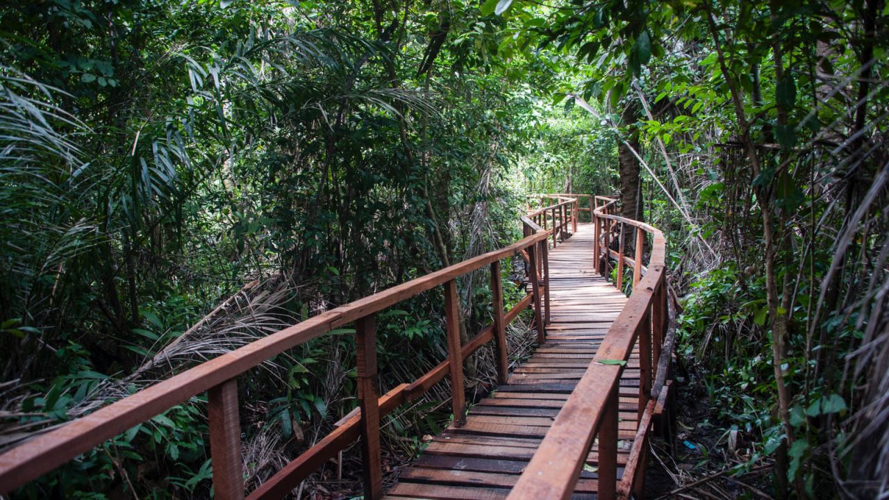 Nigeria is home to Africa's longest canopy walk. 