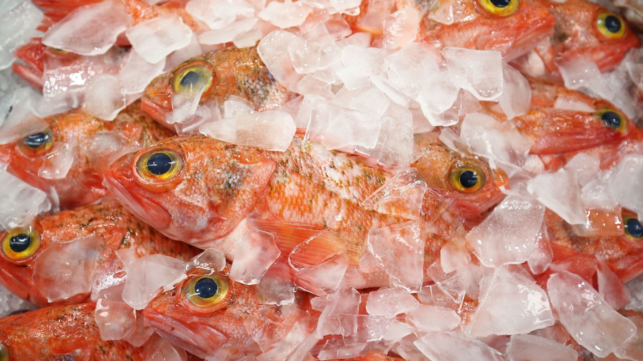 Chef Federico Zanellato's Japan experiences come in handy during his daily trips to the Sydney Fish Market.