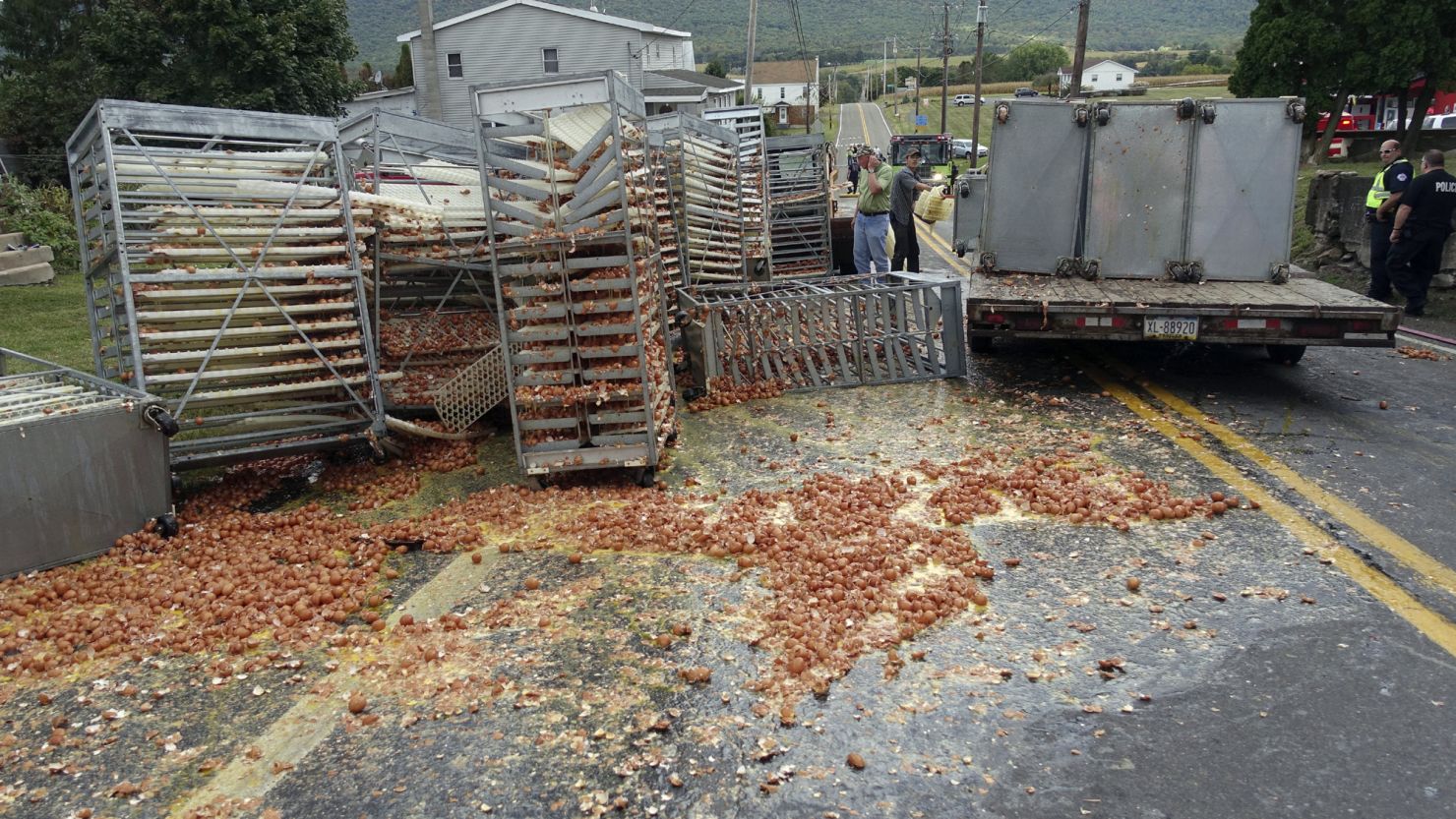 eggs fall off truck pennsylvania