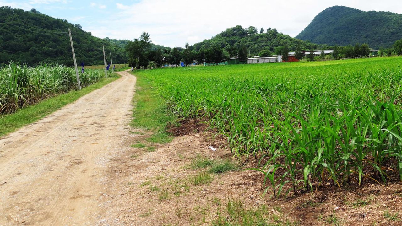 UFO believers in Thailand come to Khao Kala hill to meditate.