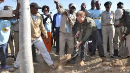 Prince Harry, Duke of Sussex, helps to plant trees on the banks of Botswana's Chobe River, on day four of his family's tour of Africa.