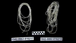 Two dentalium (tusk shell) necklaces from Bardi Jawi.