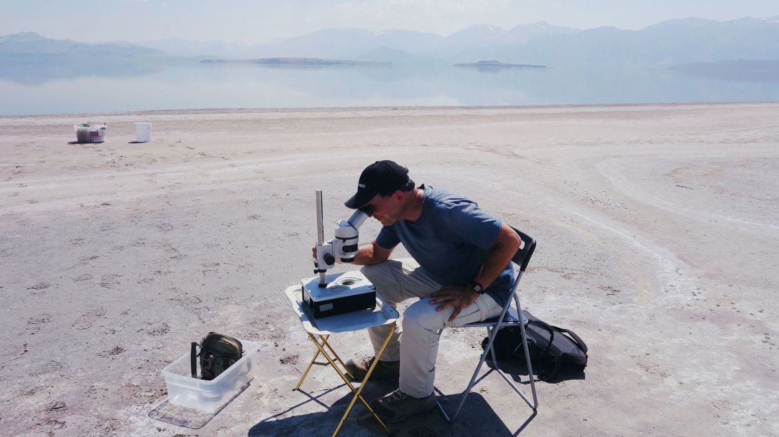 The worms live here, in the arsenic-rich Mono Lake in California's Eastern Sierra Mountains. 