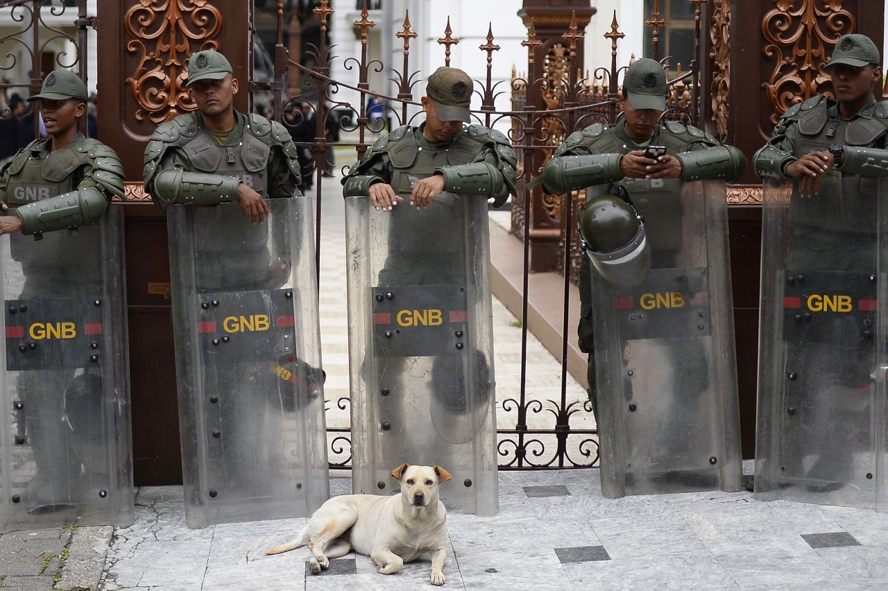 A dog lies down in front of members of the Venezuelan National Guard who were posted outside the National Assembly in Caracas on Tuesday, September 24.