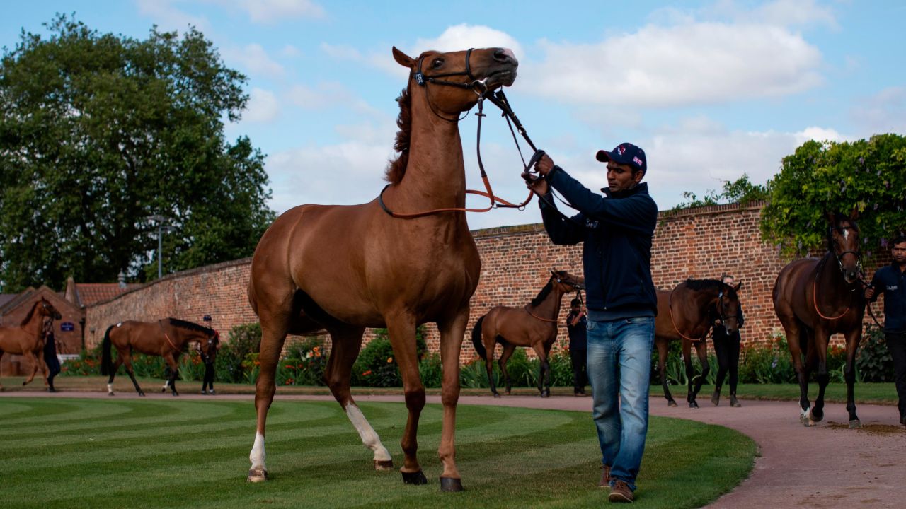 Tattersalls' October Yearling sale attracts royals and billionaires. 