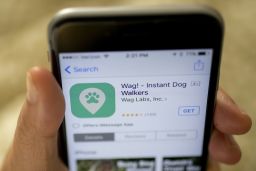 Wag was built to be "a button on the phone for dogs," according to one of its founders. Even with its massive cash infusion last year, the app has struggled to keep pace with rival Rover.
