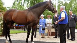 KILDARE, IRELAND - MAY 19:  Queen Elizabeth II and Prince Philip, Duke of Edinburgh during a visit to the Irish National Stud, one of Ireland's top horsebreeding centres, during the third day of the state visit to Ireland, on May 19, 2011 in Kildare, Ireland. The Duke and Queen's visit to Ireland is the first by a monarch since 1911. An unprecedented security operation is taking place with much of the centre of Dublin turning into a car free zone. Republican dissident groups have made it clear they are intent on disrupting proceedings.  (Photo by John Stillwell - Pool/Getty Images)