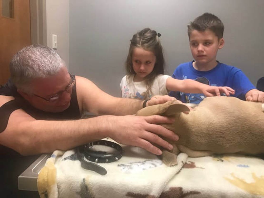 Gary Richardson and two of his children, Aurora, 6, and and Owen, 8, say goodbye to Zeus after he died protecting Oriley and Orion.