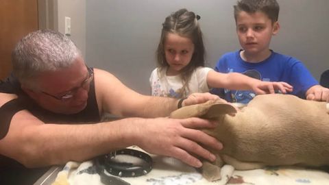 Gary Richardson and two of his children, Aurora, 6, and and Owen, 8, say goodbye to Zeus after he died protecting Oriley and Orion.