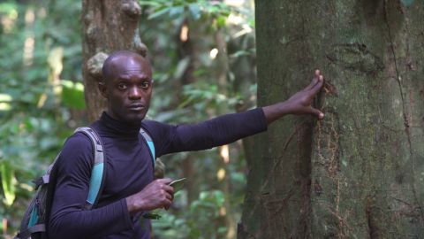 Cynel Moundounga, in the field taking tree samples.
