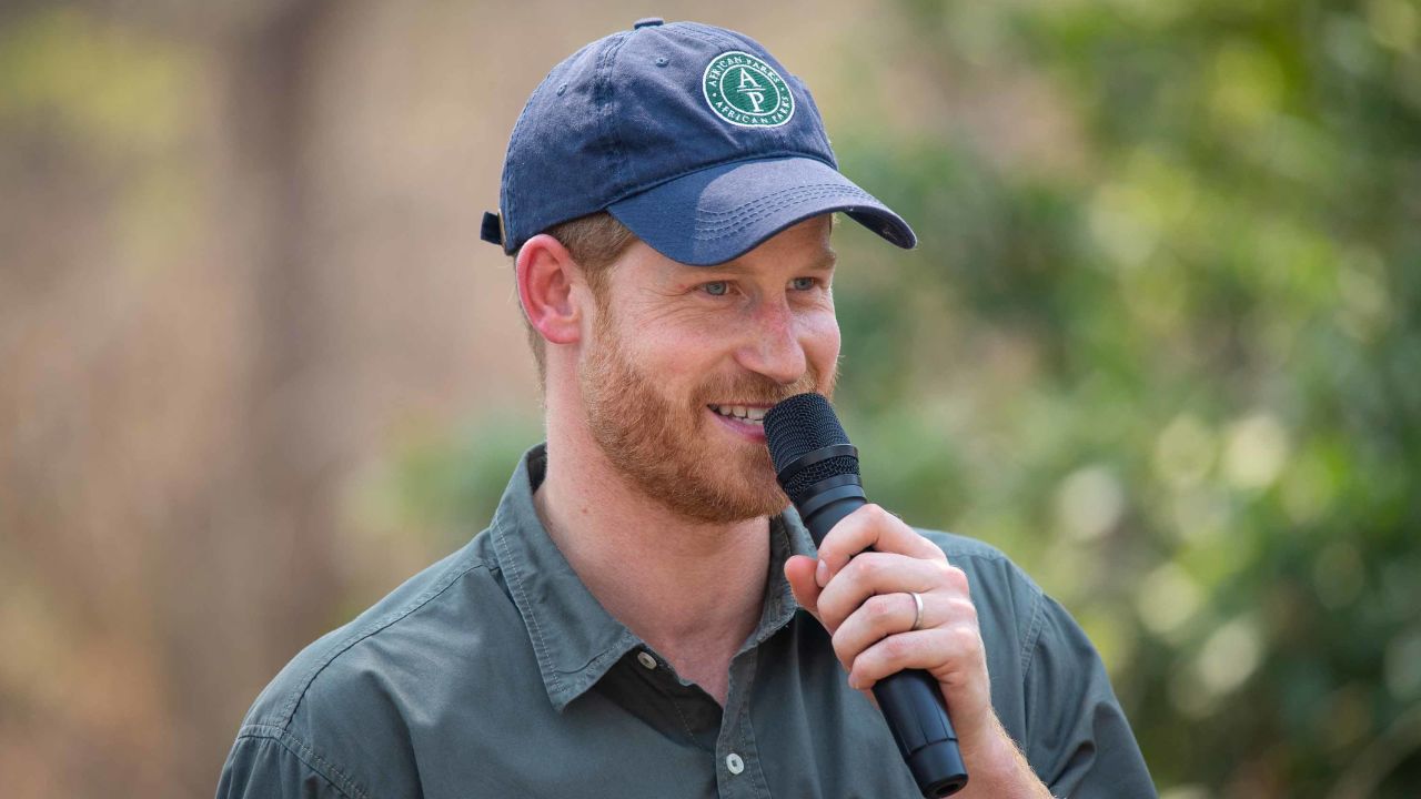 Prince Harry makes a speech as he dedicates Malawi's Liwonde National Park and the adjoining Mangochi Forest to the Queen's Commonwealth Canopy on September 30, 2019. 