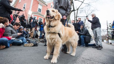 Sen. Elizabeth Warren's dog Bailey stands with her husband Bruce Mann as Warren addresses the media outside of her home after announcing she formed an exploratory committee for a 2020 Presidential run on December 31, 2018 in Cambridge, Massachusetts.