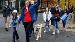 CAMBRIDGE, MA. - NOVEMBER 6: Senator Elizabeth Warren waves to supporters as she walks with grandson Atticus Tyagi. Dog Bailey and other family members to vote on November 6, 2018 in Cambridge, Massachusetts.  (Staff Photo By Nancy Lane/MediaNews Group/Boston Herald via Getty Images)