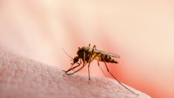 Mosquitoes and human disease: Understanding how they smell us