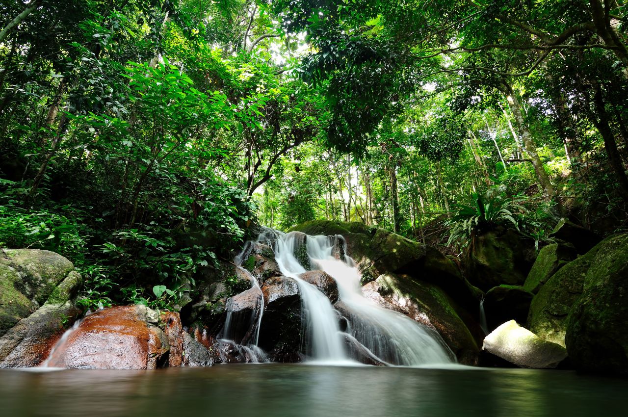 <strong>Tioman: </strong>A waterfall at Kampung Juara, on Tioman Island. The island of Tioman and the waters surrounding it are protected nature reserves, which has helped it retain its wild vibe.