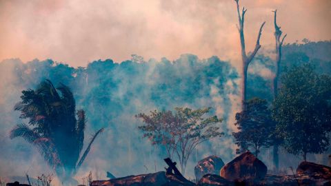 Smokes rises from forest fires in Brazil's Para state on August 27, 2019. 