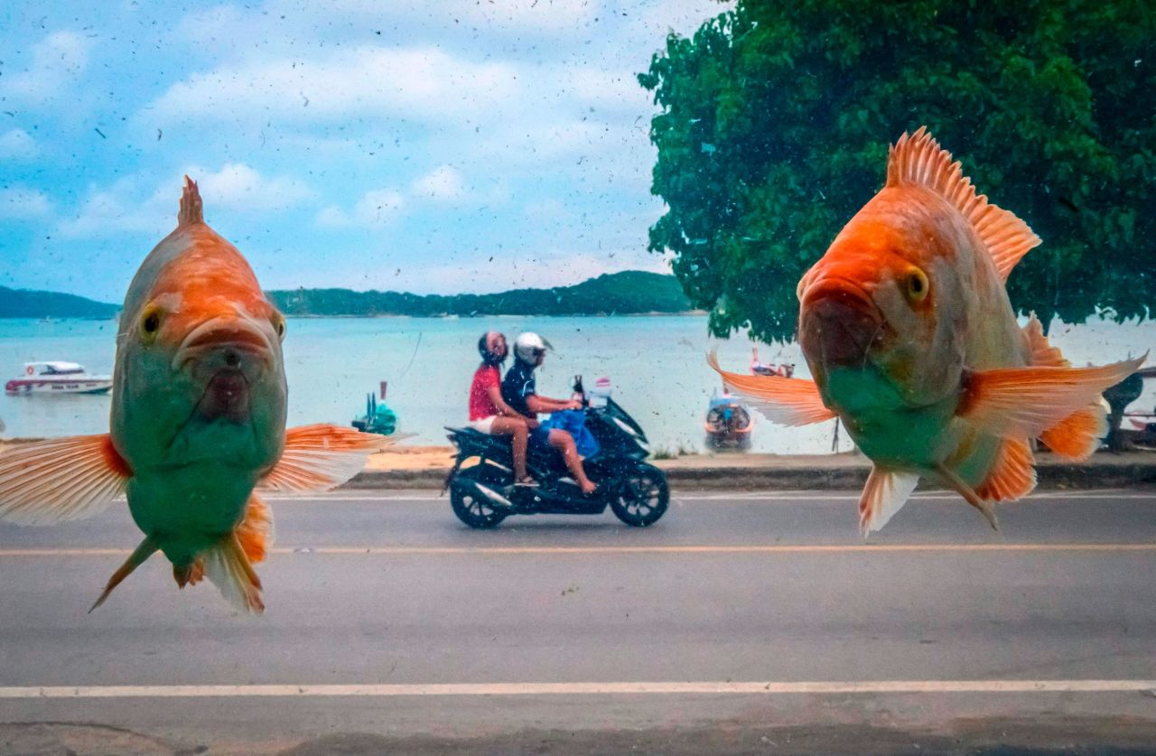 This photo, taken through an aquarium on Wednesday, October 2, shows the Ra Wai Beach on Thailand's Phuket Island.