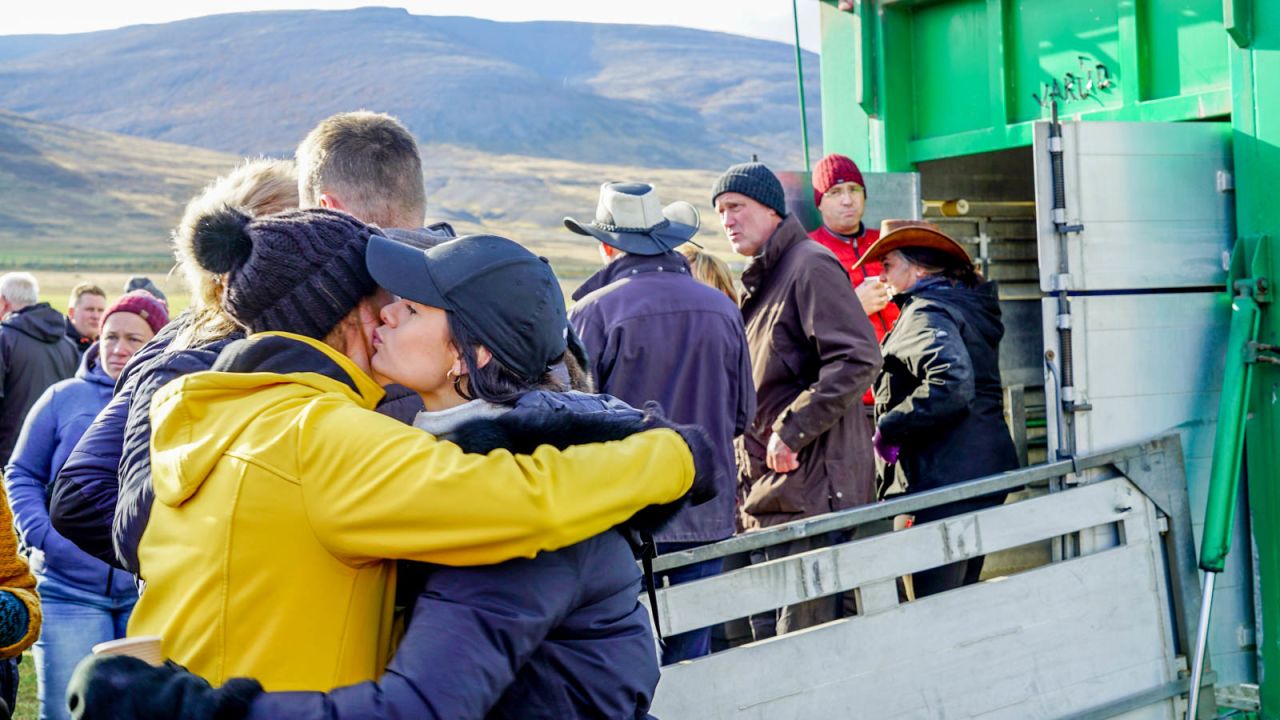 <strong>Social highlight: </strong>Locals greet each other at the Laufskálarétt corral, which is one of the social events of the year among Icelandic horse farmers.