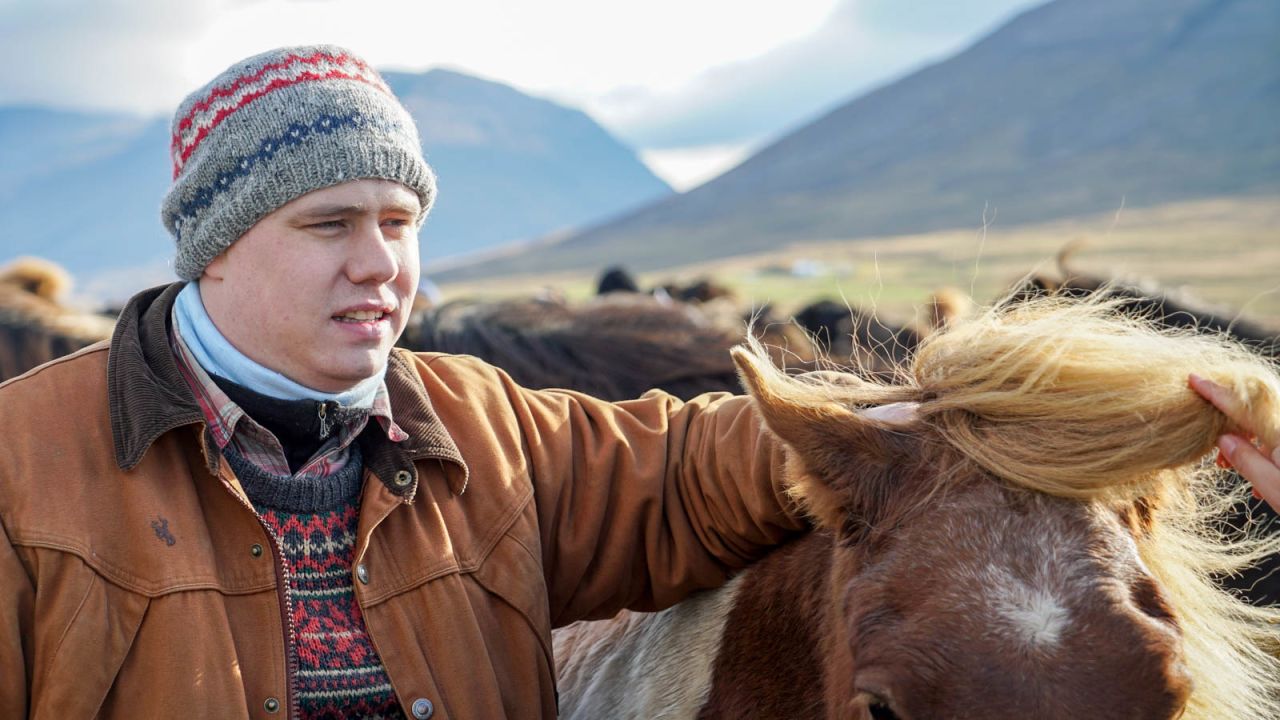 <strong>Horse whispering: </strong>A young Icelandic horse farmer soothes his horse following the sorting event.