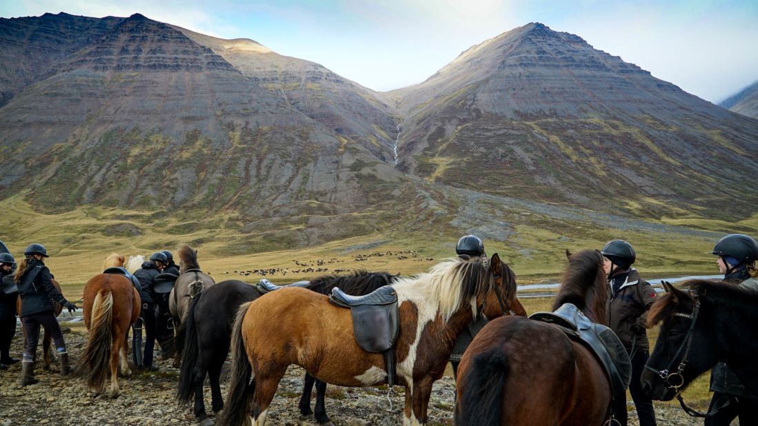 <strong>Long riders:</strong> Riders who have traveled from as far afield as Germany prepare to help round up the Icelandic horses.