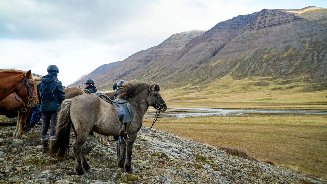 <strong>Corral time: </strong>Horses and their riders, a mix of Icelandic locals and tourists, stand over the Kolbeinsdalur valley, waiting for the corral to start.