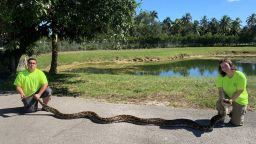 This huge 18' 4" invasive python is the second largest snake ever captured in Florida.