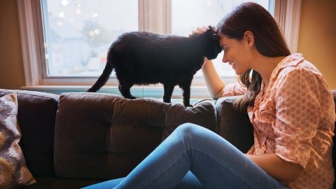 Don't worry, cat lovers. A <a href="https://www.ncbi.nlm.nih.gov/pmc/articles/PMC3317329/" target="_blank" target="_blank">2009 study</a> found a lower risk of death by heart attack and overall cardiovascular disease among cat owners, even if they no longer lived with their fluffy friend. 