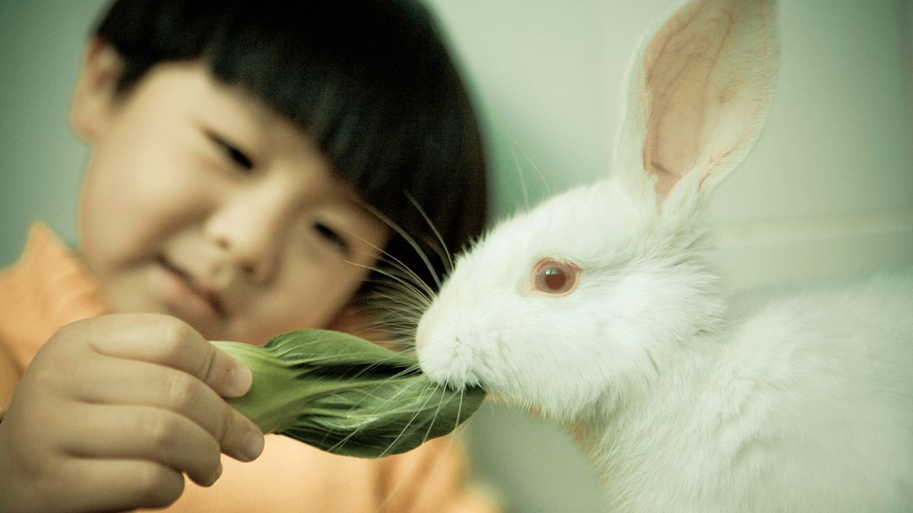 It's not just cats and dogs. Studies find health benefits for owners of all kinds of pets, including birds, hamsters, gerbils, fish, snakes ... and even bugs. <a href="https://www.ncbi.nlm.nih.gov/pubmed/26383099" target="_blank" target="_blank">One study f</a>ound nursing home residents who cared for cockroaches were less depressed after eight weeks than those who received only health advice.