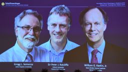 The winners of the 2019 Nobel Prize in Physiology or Medicine (L-R) Gregg Semenza of the US, Peter Ratcliffe of Britain and William Kaelin of the US appear on a screen during a press conference at the Karolinska Institute in Stockholm, Sweden, on October 7, 2019. - William Kaelin and Gregg Semenza of the US and Peter Ratcliffe of Britain win the 2019 Nobel Medicine Prize. (Photo by Jonathan NACKSTRAND / AFP) (Photo by JONATHAN NACKSTRAND/AFP via Getty Images)
