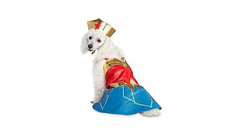 dog wrestling costume