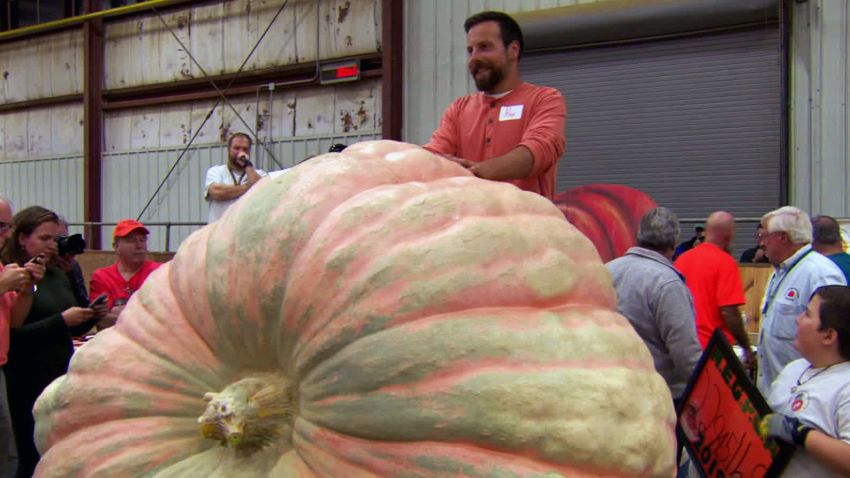 record heaviest pumpkin weigh off winner topsfield fair dnt vpx_00005508