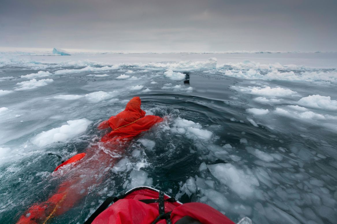 Daniels swimming between ice floes on her way to the Geographic North Pole in 2010.