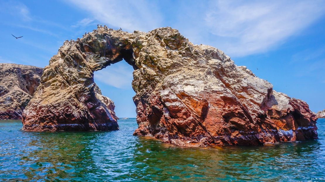 Islas Ballestas boat tours are likely to result in sightings of sea lions, whales, penguins, dolphins and hundreds of different species of seabirds.