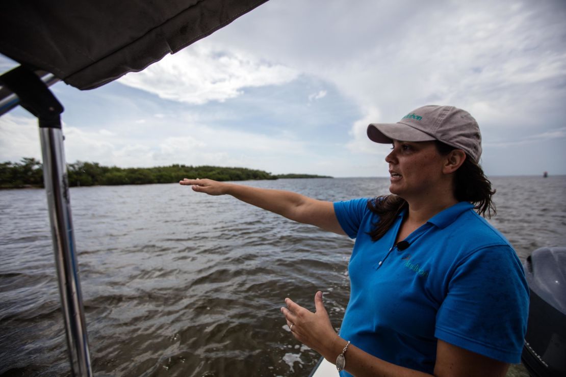 Audubon scientist Brooke Bateman looks at the birds in the Alafia Bank Sanctuary near Tampa.