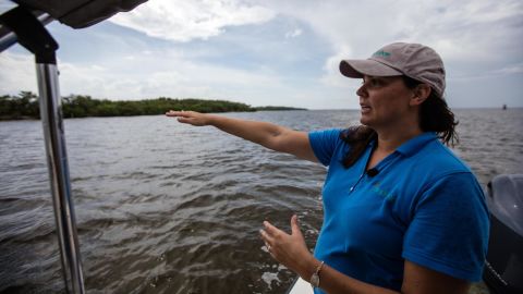 Audubon scientist Brooke Bateman looks at the birds in the Alafia Bank Sanctuary near Tampa.