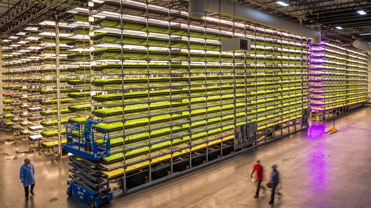 The indoor farming practice utilizes 95% less water than field-farmed food, and boasts a much higher yield.