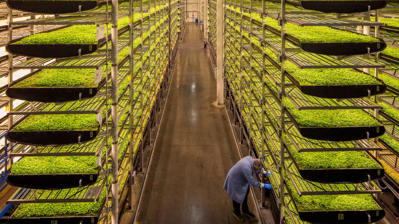 AeroFarms, which began in 2004, isn't new, but it remains pioneering in its agricultural approach.