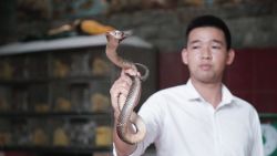 04 snake village Hanoi